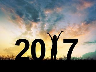 Success in 2017_crop